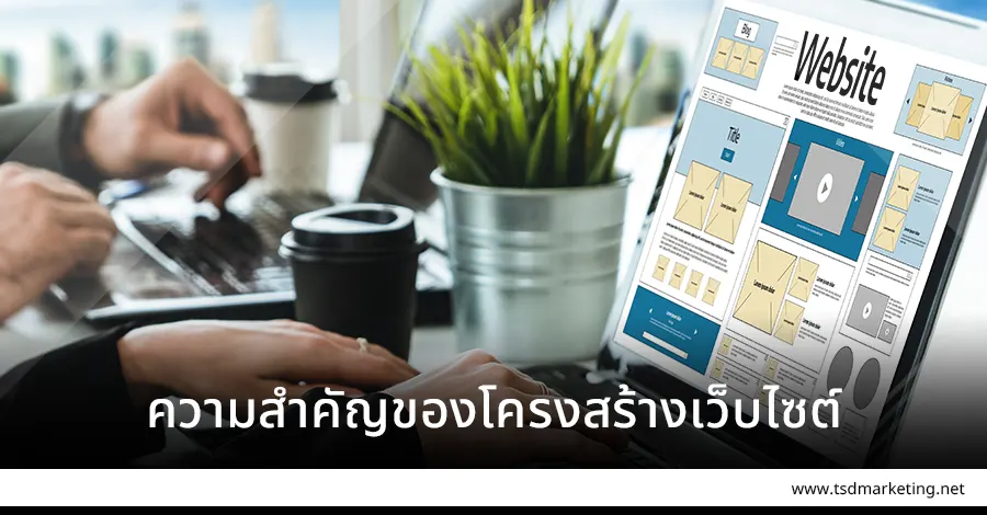 เว็บไซต์และความสำคัญของโครงสร้าง