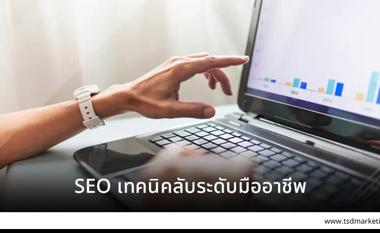 SEO เทคนิคลับระดับมืออาชีพ