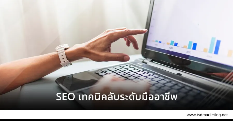 SEO เทคนิคลับระดับมืออาชีพเขาใช้กัน