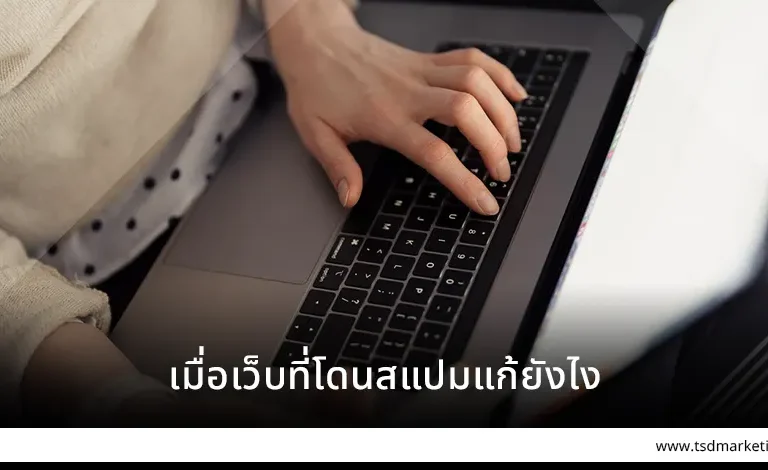 ปัญหาที่เกิดจากเว็บไซต์โดนสแปม