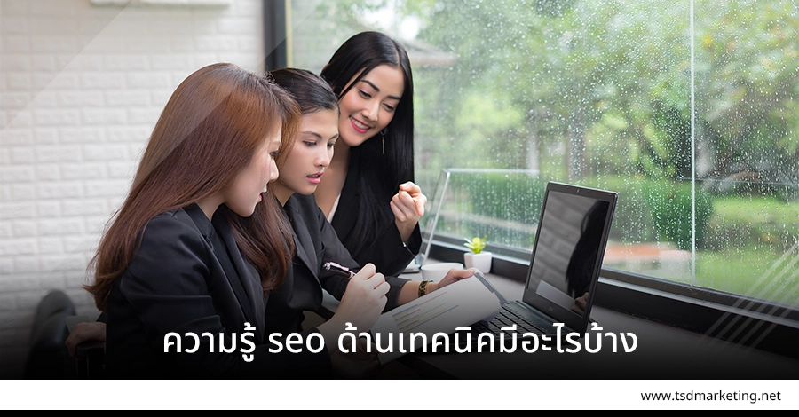 seo ด้านเทคนิคมีอะไรบ้าง