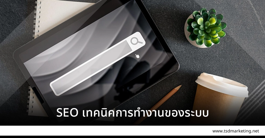SEO เทคนิคระบบการทำงาน