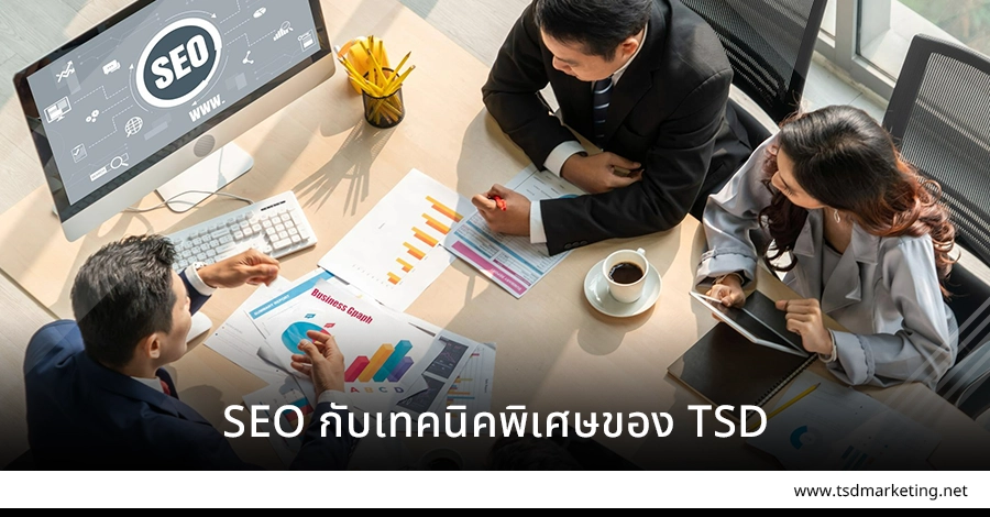 เทคนิค SEO ของ TSD