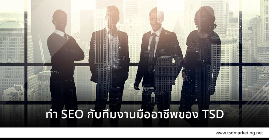 มาทำ SEO กับทีมงานมืออาชีพของ TSD