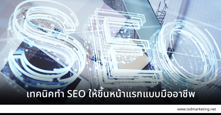 เทคนิคทำ SEO แบบมืออาชีพ
