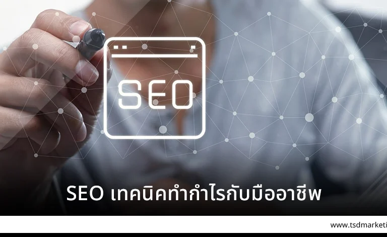SEO เทคนิคทำกำไรกับมืออาชีพ
