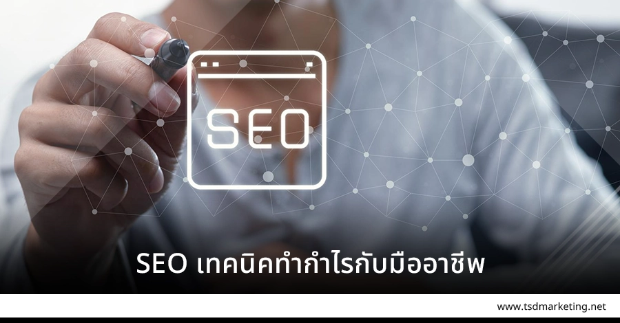 SEO เทคนิคทำกำไรกับมืออาชีพในระดับสูง