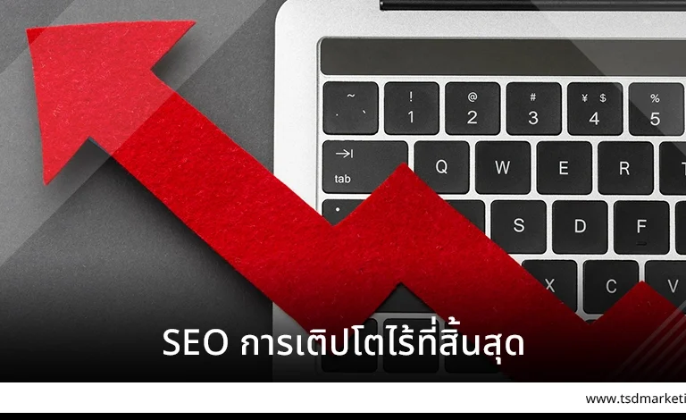 SEO การเติปโตไร้ที่สิ้นสุด