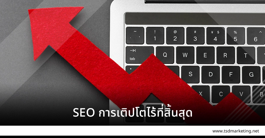 SEO นั้นมีการเติปโตแบบไร้ที่สิ้นสุด