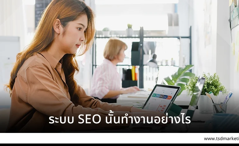 ระบบ SEO นั้นทำงานอย่างไร