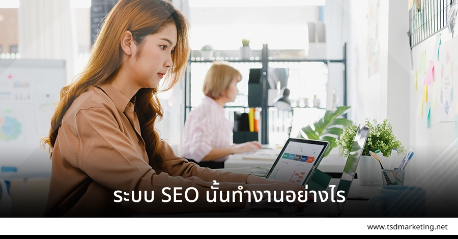 SEO นั้นทำงานอย่างไร