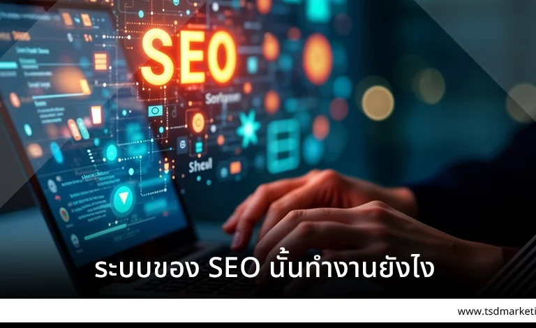 ระบบของ SEO นั้นทำงานยังไง