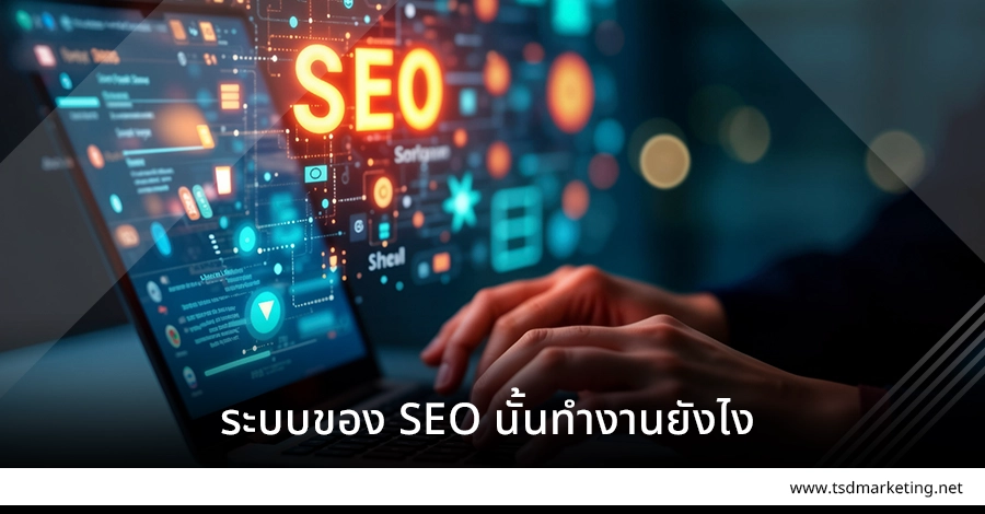 ระบบของ SEO นั้นทำงานแบบไหน