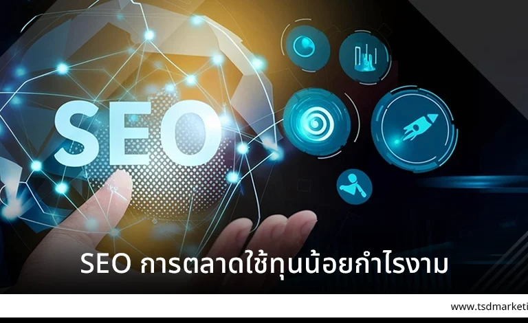 SEO การตลาดใช้ทุนน้อยกำไรงาม