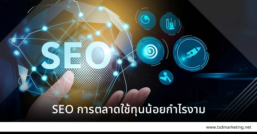 SEO การตลาดใช้ทุนน้อยกำไรดี