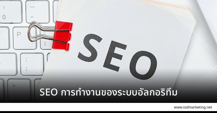 SEO ระบบการทำงานของอัลกอริทึม