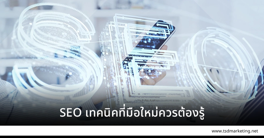 SEO เทคนิคที่มือใหม่ควรต้องมี